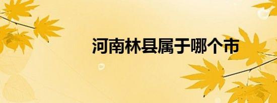 河南林县属于哪个市