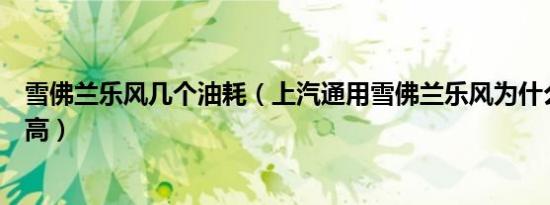 雪佛兰乐风几个油耗（上汽通用雪佛兰乐风为什么油耗这么高）