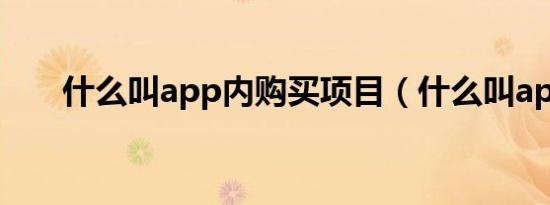 什么叫app内购买项目（什么叫app）
