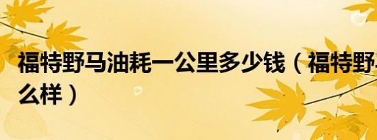 福特野马油耗一公里多少钱（福特野马油耗怎么样）