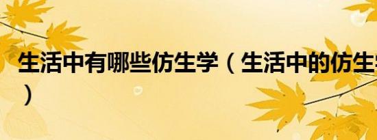 生活中有哪些仿生学（生活中的仿生学有哪些）
