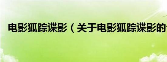 电影狐踪谍影（关于电影狐踪谍影的介绍）