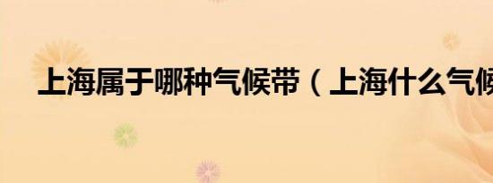 上海属于哪种气候带（上海什么气候带）