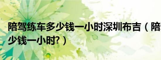 陪驾练车多少钱一小时深圳布吉（陪驾练车多少钱一小时?）
