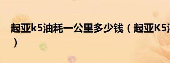 起亚k5油耗一公里多少钱（起亚K5油耗大吗）
