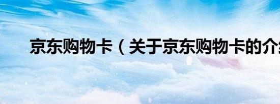 京东购物卡（关于京东购物卡的介绍）