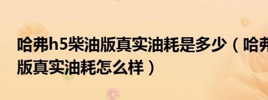 哈弗h5柴油版真实油耗是多少（哈弗h5柴油版真实油耗怎么样）