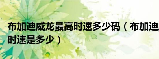 布加迪威龙最高时速多少码（布加迪威龙最高时速是多少）