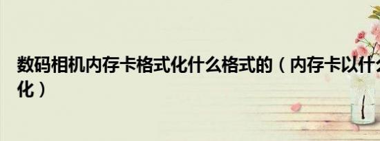 数码相机内存卡格式化什么格式的（内存卡以什么格式格式化）