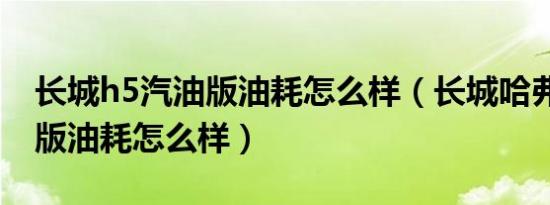 长城h5汽油版油耗怎么样（长城哈弗h5柴油版油耗怎么样）