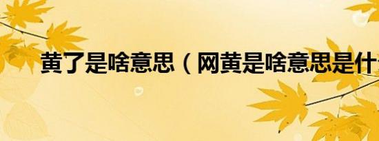 黄了是啥意思（网黄是啥意思是什么）