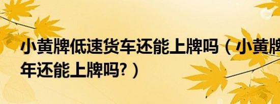 小黄牌低速货车还能上牌吗（小黄牌货车19年还能上牌吗?）