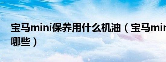 宝马mini保养用什么机油（宝马mini保养做哪些）