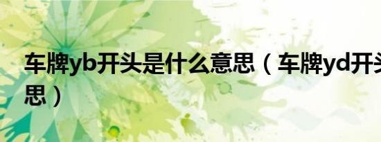 车牌yb开头是什么意思（车牌yd开头什么意思）
