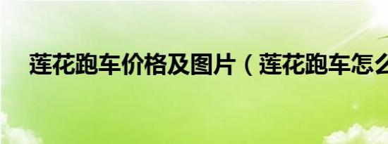 莲花跑车价格及图片（莲花跑车怎么样）