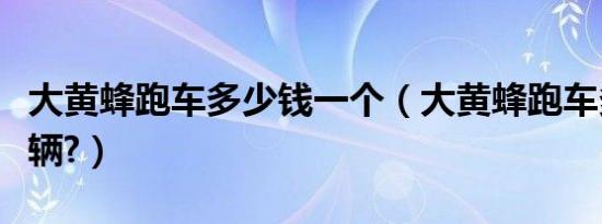 大黄蜂跑车多少钱一个（大黄蜂跑车多少钱一辆?）