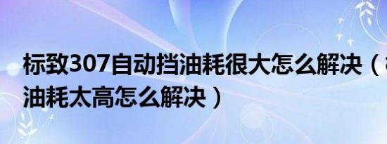 标致307自动挡油耗很大怎么解决（标致307油耗太高怎么解决）
