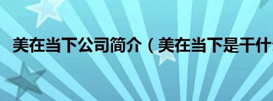 美在当下公司简介（美在当下是干什么的）