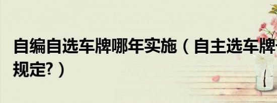 自编自选车牌哪年实施（自主选车牌号有什么规定?）