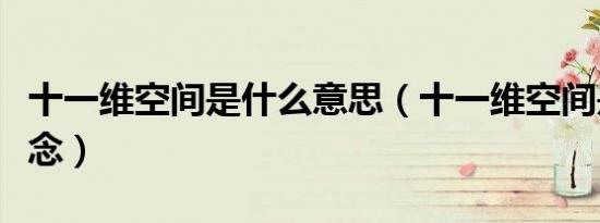 十一维空间是什么意思（十一维空间是什么概念）