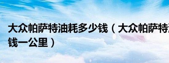 大众帕萨特油耗多少钱（大众帕萨特油耗多少钱一公里）