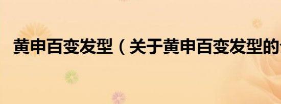 黄申百变发型（关于黄申百变发型的介绍）