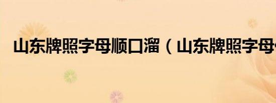 山东牌照字母顺口溜（山东牌照字母代表）