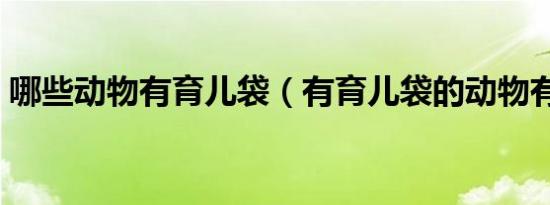 哪些动物有育儿袋（有育儿袋的动物有哪些）