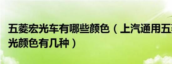 五菱宏光车有哪些颜色（上汽通用五菱五菱宏光颜色有几种）