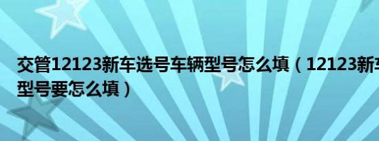 交管12123新车选号车辆型号怎么填（12123新车选号车辆型号要怎么填）