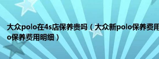 大众polo在4s店保养贵吗（大众新polo保养费用贵吗新polo保养费用明细）
