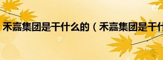 禾嘉集团是干什么的（禾嘉集团是干什么的）