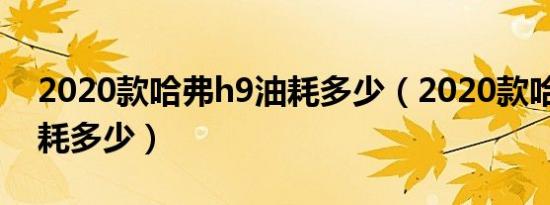2020款哈弗h9油耗多少（2020款哈弗h9油耗多少）