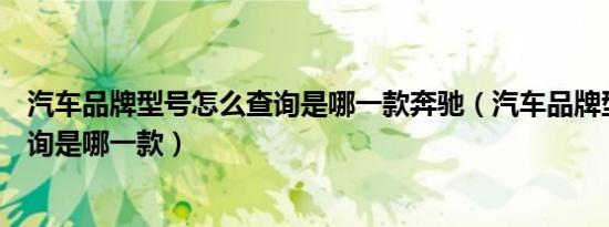 汽车品牌型号怎么查询是哪一款奔驰（汽车品牌型号怎么查询是哪一款）