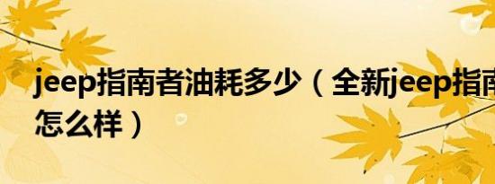 jeep指南者油耗多少（全新jeep指南者油耗怎么样）