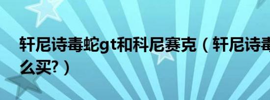 轩尼诗毒蛇gt和科尼赛克（轩尼诗毒蛇gt怎么买?）