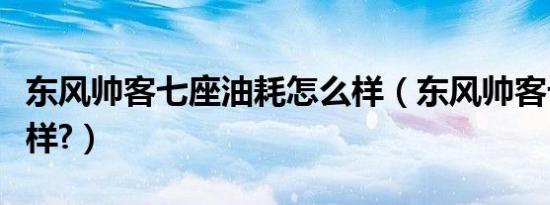 东风帅客七座油耗怎么样（东风帅客七座怎么样?）