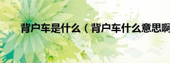背户车是什么（背户车什么意思啊?）