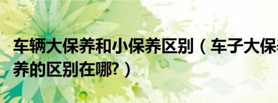车辆大保养和小保养区别（车子大保养和小保养的区别在哪?）
