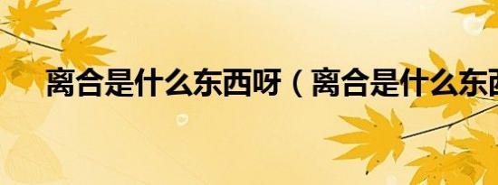 离合是什么东西呀（离合是什么东西?）