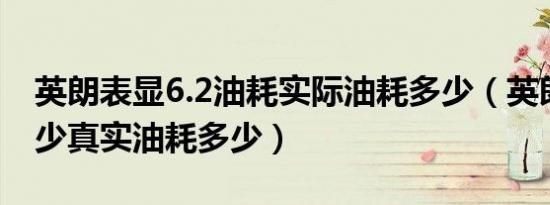 英朗表显6.2油耗实际油耗多少（英朗油耗多少真实油耗多少）
