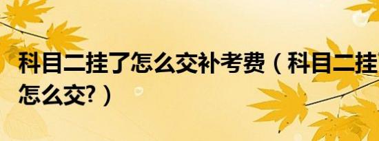 科目二挂了怎么交补考费（科目二挂了补考费怎么交?）