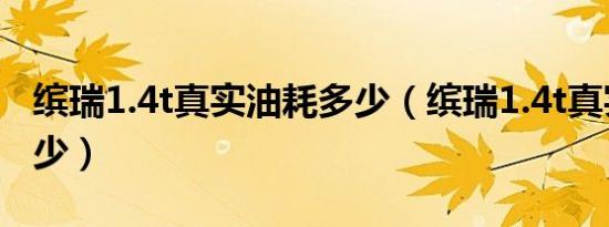 缤瑞1.4t真实油耗多少（缤瑞1.4t真实油耗多少）