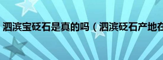 泗滨宝砭石是真的吗（泗滨砭石产地在哪里）