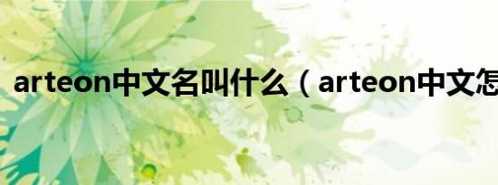 arteon中文名叫什么（arteon中文怎么读）
