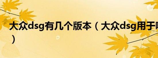 大众dsg有几个版本（大众dsg用于哪些车型）