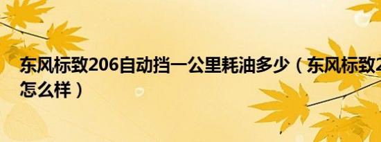 东风标致206自动挡一公里耗油多少（东风标致206cc油耗怎么样）
