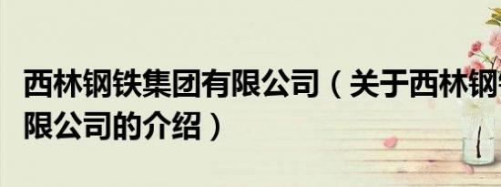 西林钢铁集团有限公司（关于西林钢铁集团有限公司的介绍）