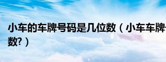 小车的车牌号码是几位数（小车车牌号码几位数?）