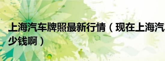 上海汽车牌照最新行情（现在上海汽车牌照多少钱啊）